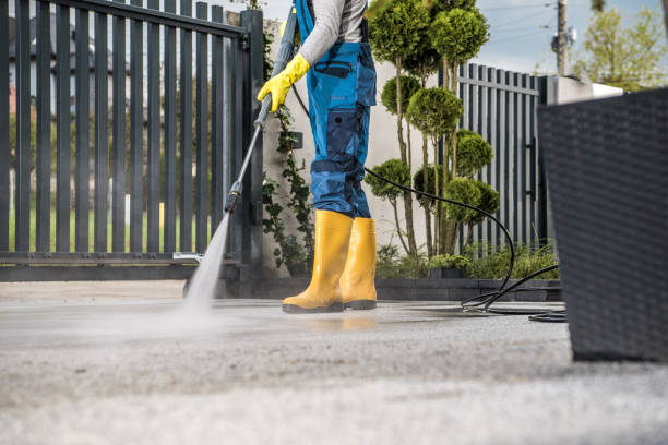 Best Patio and Deck Pressure Washing  in Hamshire, TX